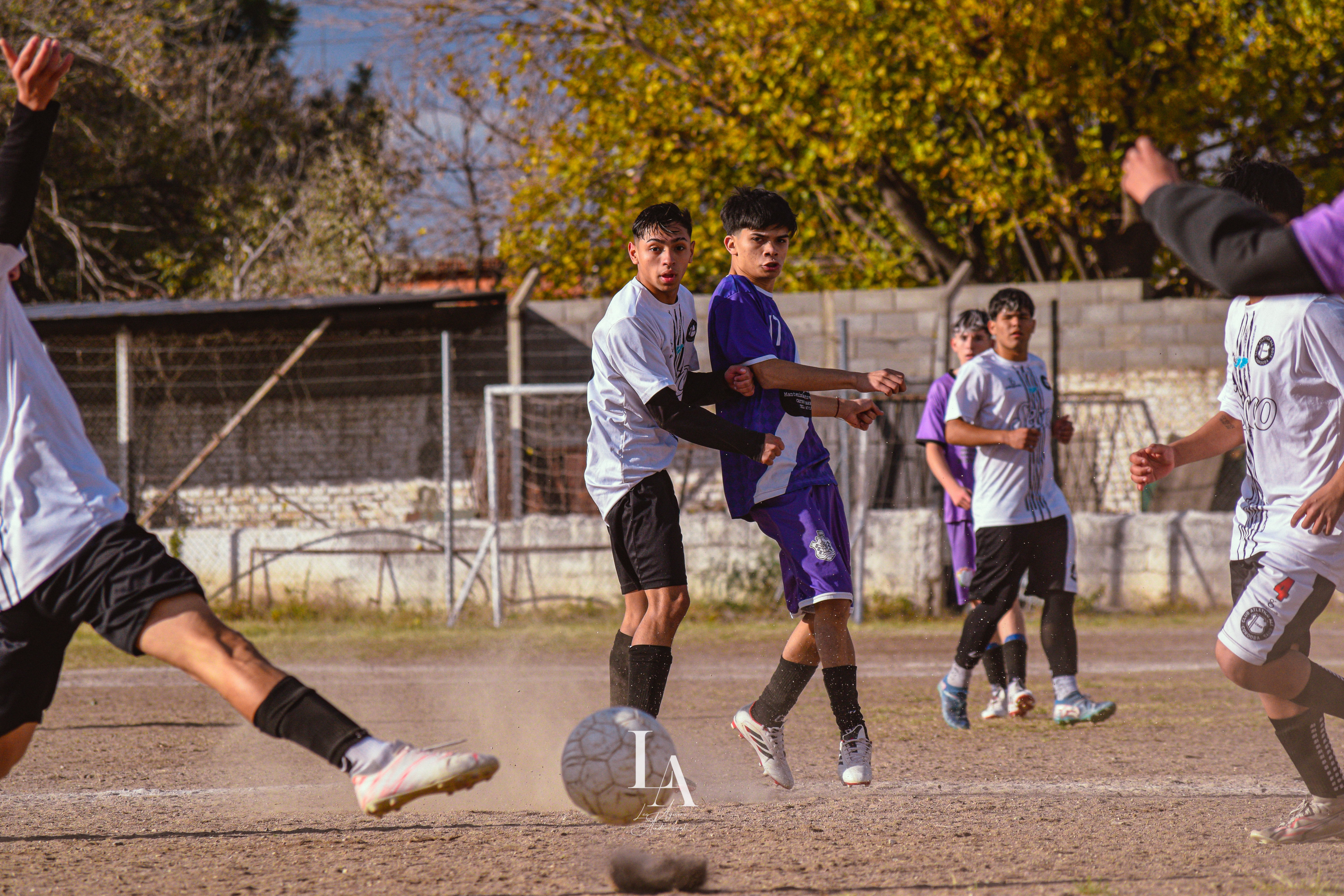 Imagen 2